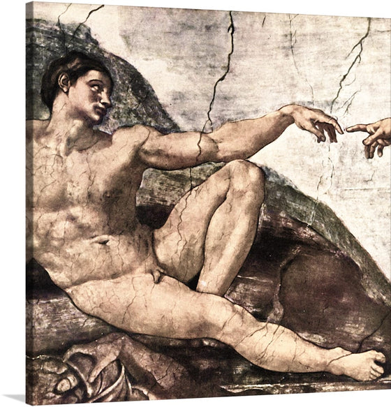 "Adam(1508-1512)", Michelangelo Buonarroti