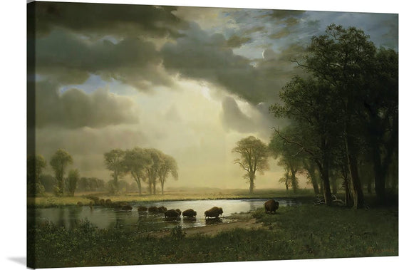 "The Buffalo Trail(1867-1868)", Albert Bierstadt