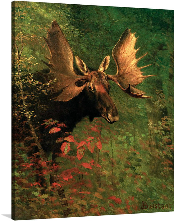 "Study of a moose(1830-1902)", Albert Bierstadt