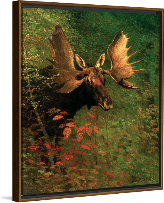 "Study of a moose(1830-1902)", Albert Bierstadt