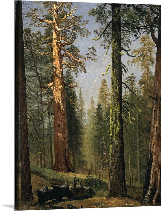 "The Grizzly Giant Sequoia, Mariposa Grove, California(c.1872-1873)", Albert Bierstadt