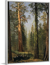 "The Grizzly Giant Sequoia, Mariposa Grove, California(c.1872-1873)", Albert Bierstadt