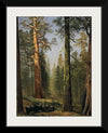 "The Grizzly Giant Sequoia, Mariposa Grove, California(c.1872-1873)", Albert Bierstadt