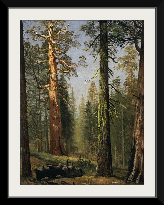 "The Grizzly Giant Sequoia, Mariposa Grove, California(c.1872-1873)", Albert Bierstadt