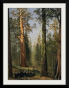 "The Grizzly Giant Sequoia, Mariposa Grove, California(c.1872-1873)", Albert Bierstadt