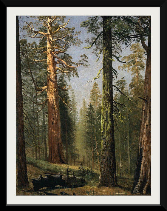 "The Grizzly Giant Sequoia, Mariposa Grove, California(c.1872-1873)", Albert Bierstadt