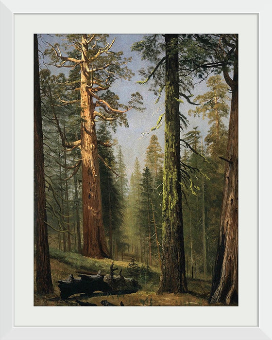 "The Grizzly Giant Sequoia, Mariposa Grove, California(c.1872-1873)", Albert Bierstadt