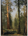 "The Grizzly Giant Sequoia, Mariposa Grove, California(c.1872-1873)", Albert Bierstadt