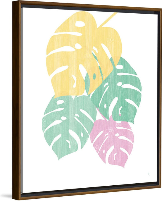 “Monstera III Bright on White“, Sarah Adams