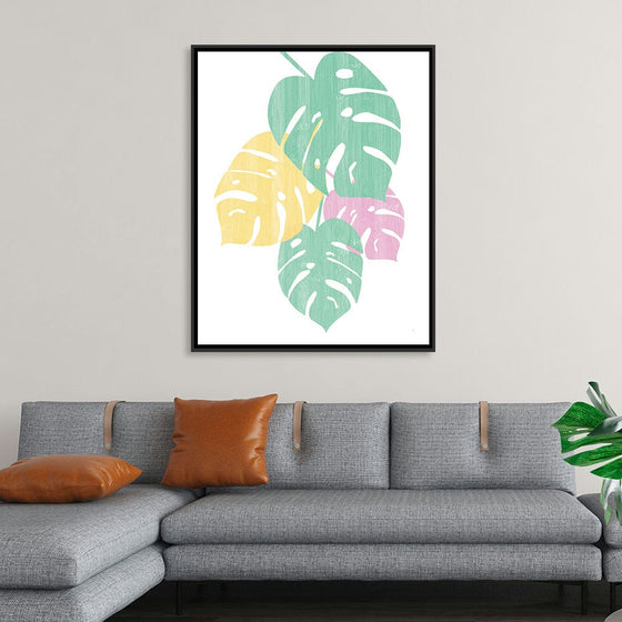 “Monstera IV Bright on White“, Sarah Adams