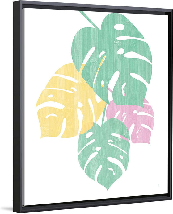 “Monstera IV Bright on White“, Sarah Adams