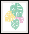 “Monstera IV Bright on White“, Sarah Adams