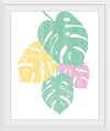 “Monstera IV Bright on White“, Sarah Adams