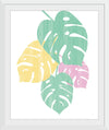 “Monstera IV Bright on White“, Sarah Adams