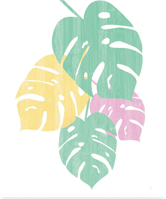 “Monstera IV Bright on White“, Sarah Adams