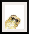 “Owl in Glasses“, Mercedes Lopez Charro