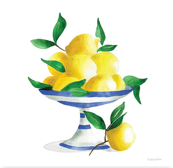 “Spanish Lemons II“, Mercedes Lopez Charro