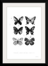 “Six Inky Butterflies“, Mercedes Lopez Charro
