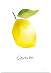 “Single Lemon“, Mercedes Lopez Charro