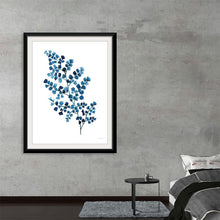  Maidenhair Fern by Mercedes Lopez Charro is a delicate and elegant watercolor that showcases the intricate beauty of nature. The fern's delicate fronds, painted in shades of blue and green, create a sense of tranquility and serenity. The artist's masterful use of light and shadow adds depth and dimension to the artwork, highlighting the natural beauty of this humble plant. This captivating print is a perfect addition to any space seeking a touch of natural elegance.