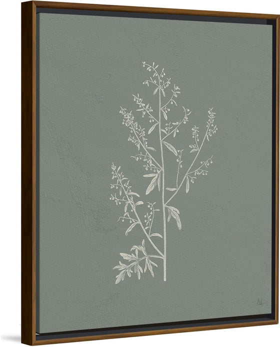 “Gifts from the Meadow II Sage“, Sarah Adams