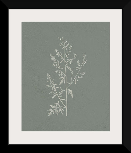 “Gifts from the Meadow II Sage“, Sarah Adams