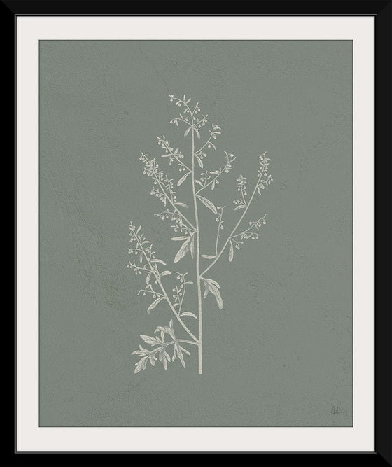 “Gifts from the Meadow II Sage“, Sarah Adams