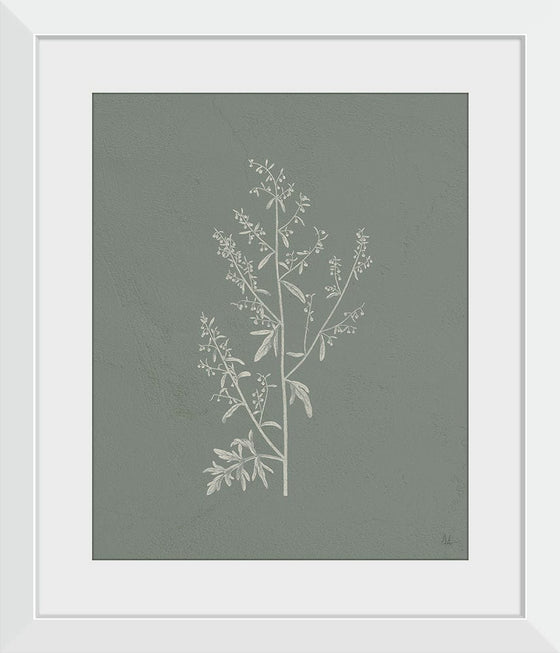 “Gifts from the Meadow II Sage“, Sarah Adams