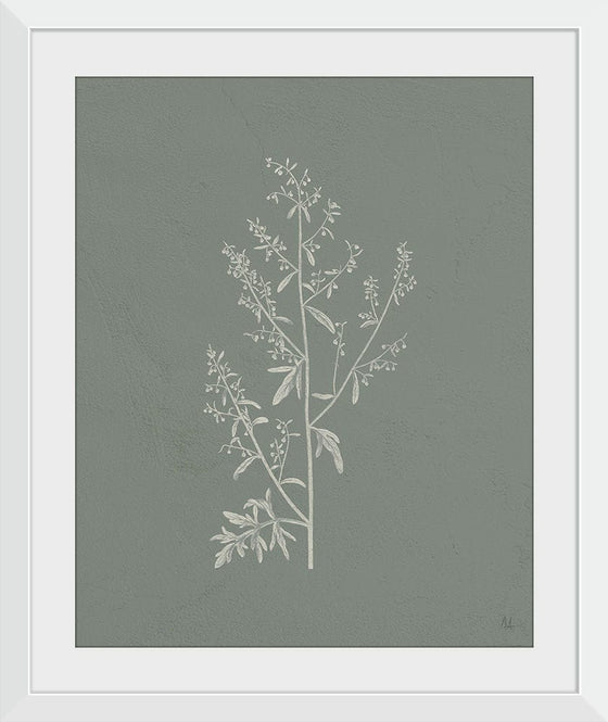 “Gifts from the Meadow II Sage“, Sarah Adams