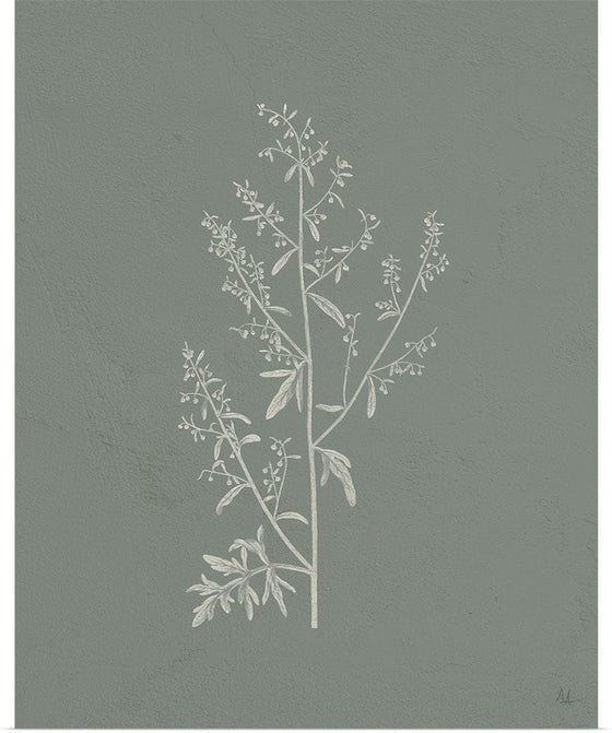 “Gifts from the Meadow II Sage“, Sarah Adams