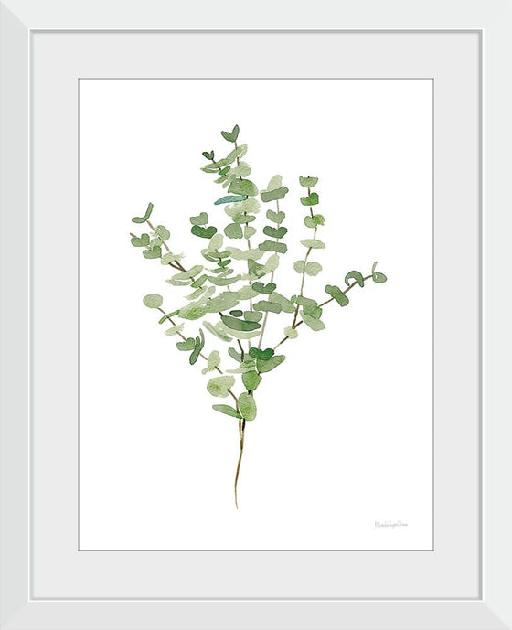 “Gentle Eucalyptus“, Mercedes Lopez Charro