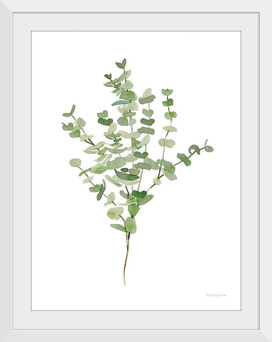 “Gentle Eucalyptus“, Mercedes Lopez Charro