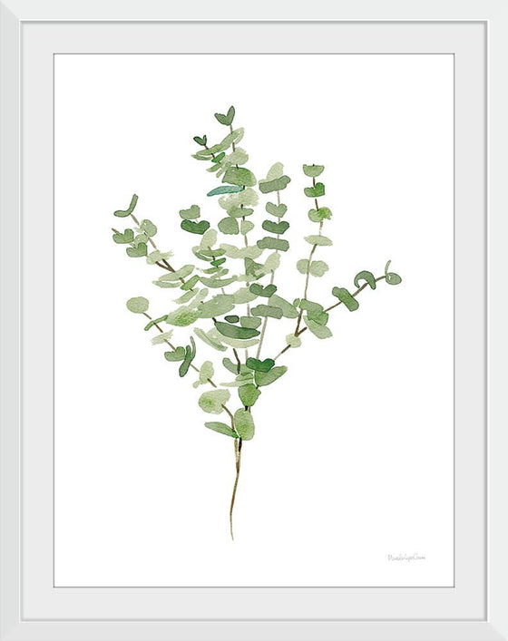 “Gentle Eucalyptus“, Mercedes Lopez Charro