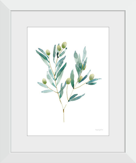 “Gentle Olive Branch“, Mercedes Lopez Charro