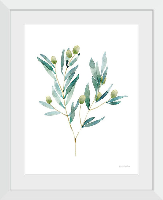 “Gentle Olive Branch“, Mercedes Lopez Charro