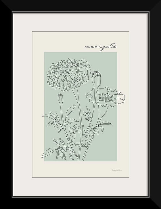 “Flower Poster II“, Mercedes Lopez Charro
