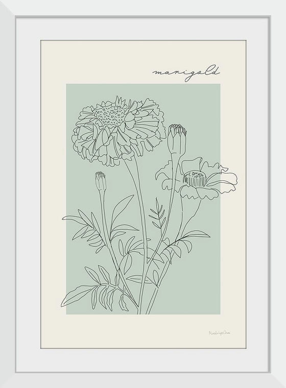 “Flower Poster II“, Mercedes Lopez Charro