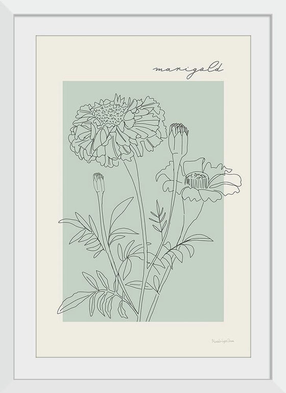 “Flower Poster II“, Mercedes Lopez Charro