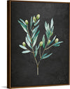 “Gentle Olive Branch on Black“, Mercedes Lopez Charro