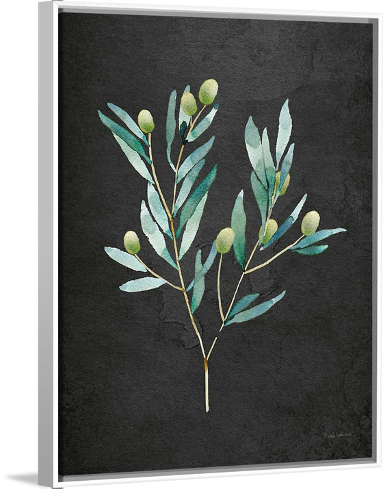 “Gentle Olive Branch on Black“, Mercedes Lopez Charro