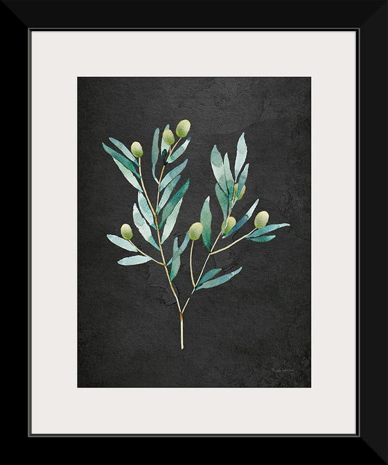 “Gentle Olive Branch on Black“, Mercedes Lopez Charro