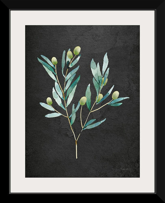 “Gentle Olive Branch on Black“, Mercedes Lopez Charro