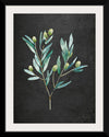 “Gentle Olive Branch on Black“, Mercedes Lopez Charro