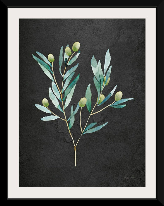 “Gentle Olive Branch on Black“, Mercedes Lopez Charro