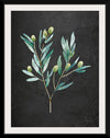 “Gentle Olive Branch on Black“, Mercedes Lopez Charro