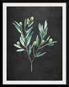 “Gentle Olive Branch on Black“, Mercedes Lopez Charro