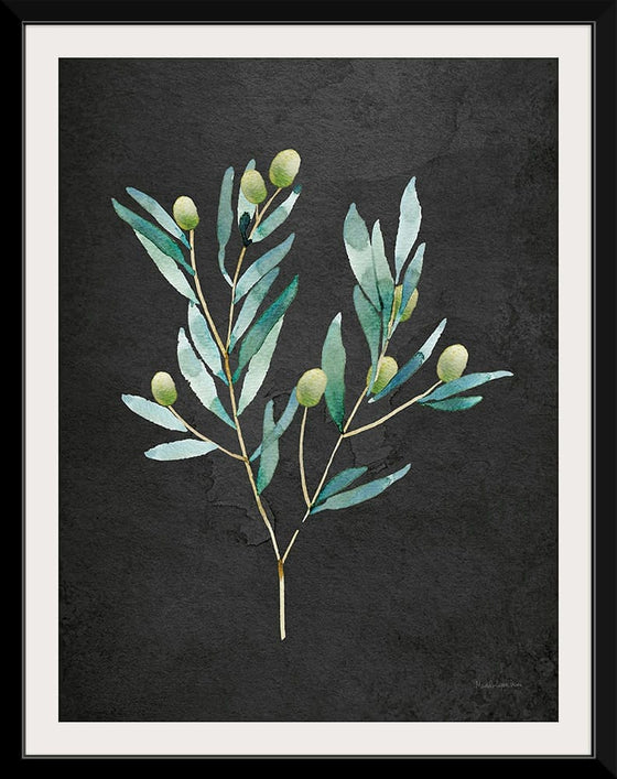 “Gentle Olive Branch on Black“, Mercedes Lopez Charro