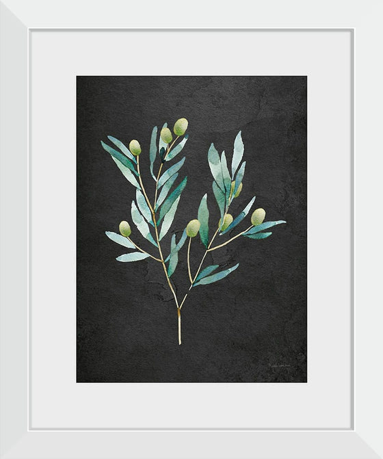 “Gentle Olive Branch on Black“, Mercedes Lopez Charro