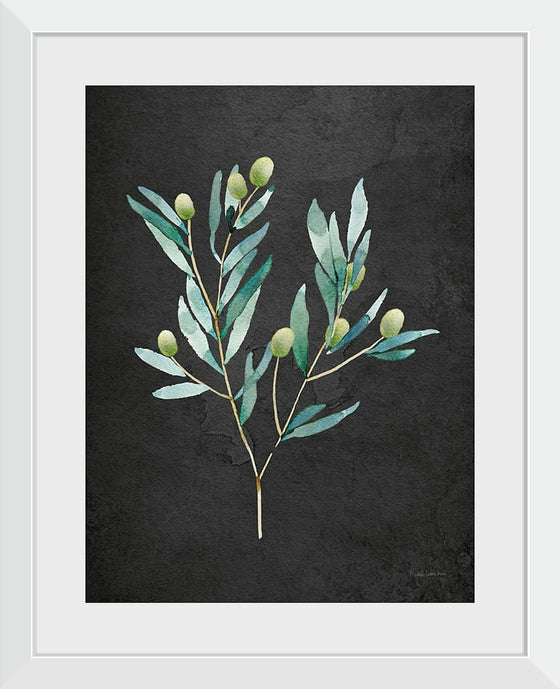 “Gentle Olive Branch on Black“, Mercedes Lopez Charro