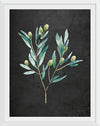 “Gentle Olive Branch on Black“, Mercedes Lopez Charro